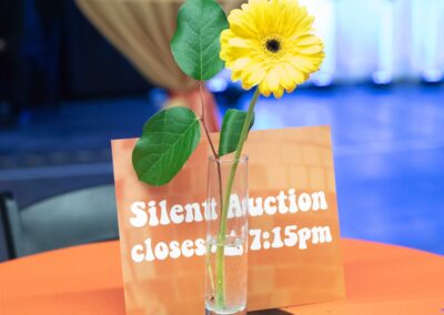 Silent Auction 2 - Gala 2023